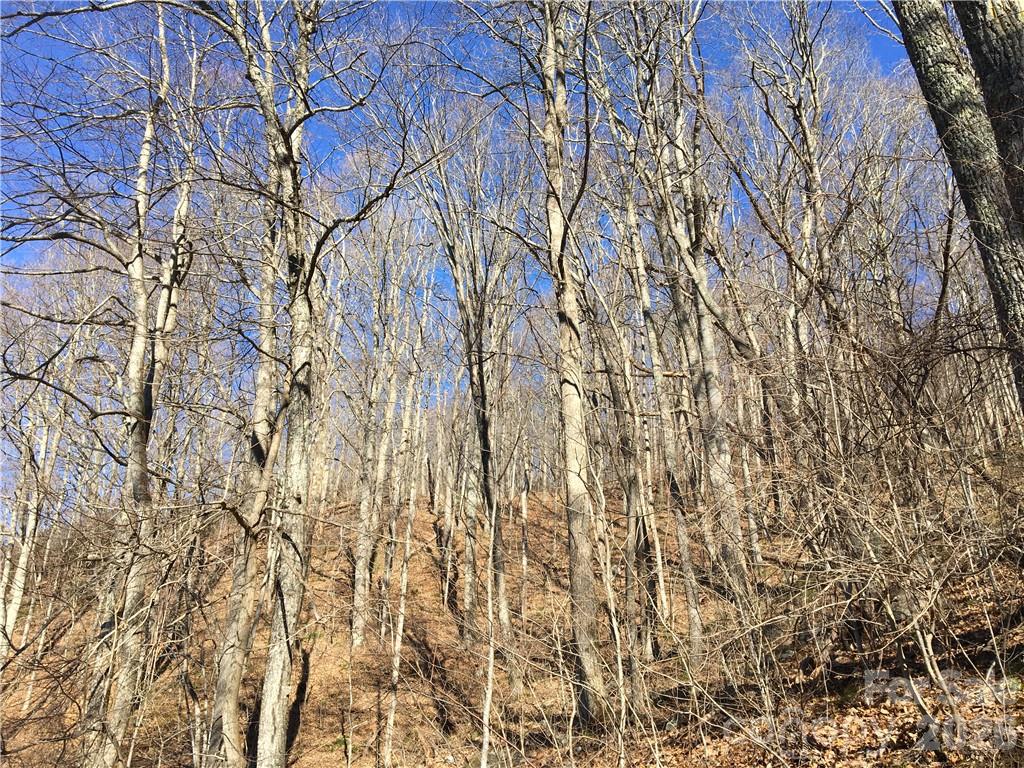 99999 Red Oak Forest Road Fairview NC 28730