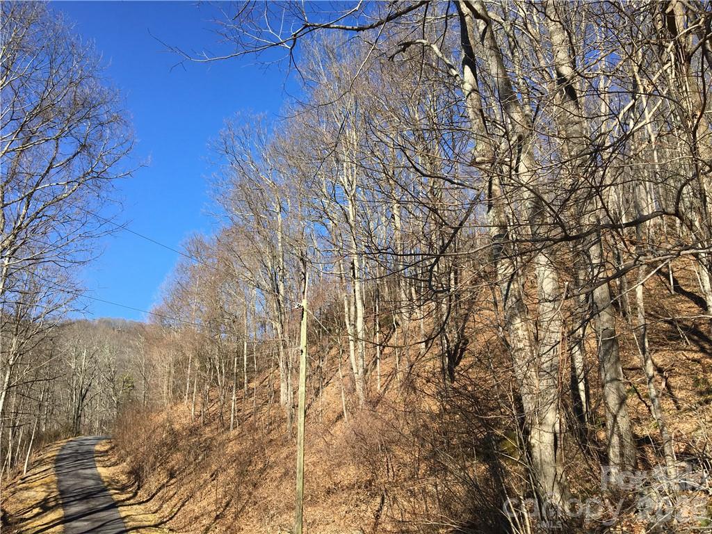 99999 Red Oak Forest Road Fairview NC 28730
