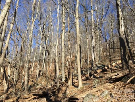99999 Red Oak Forest Road Fairview NC 28730