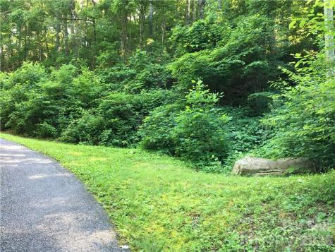 99999 Red Oak Forest Road Fairview NC 28730