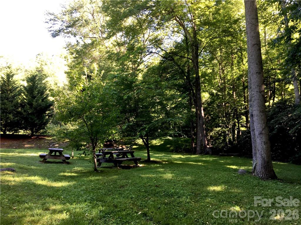 99999 Red Oak Forest Road Fairview NC 28730