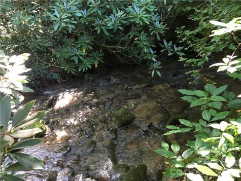 99999 Red Oak Forest Road Fairview NC 28730