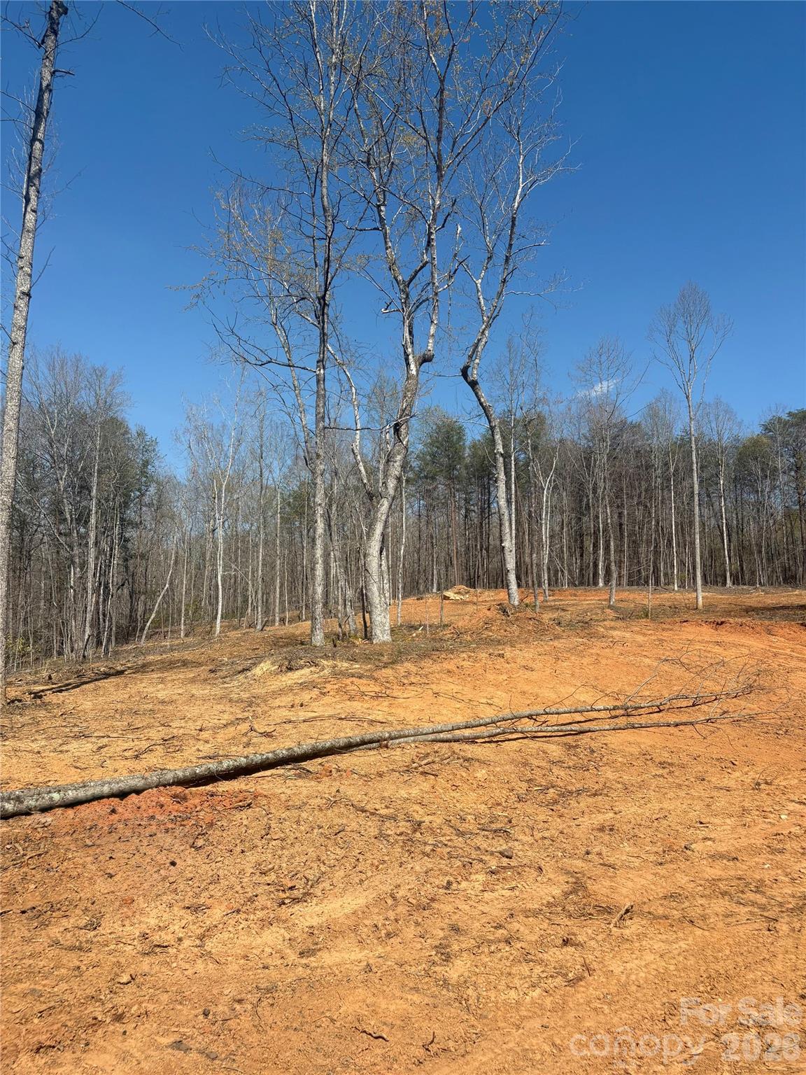 Tbd Avenida De Oro Road Morganton NC 28655