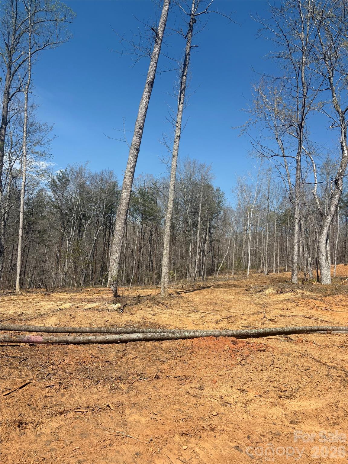 Tbd Avenida De Oro Road Morganton NC 28655