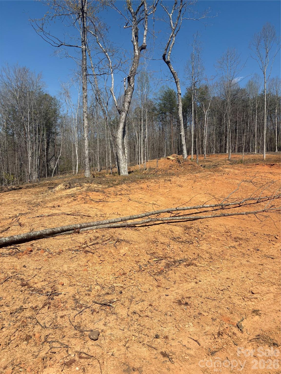 Tbd Avenida De Oro Road Morganton NC 28655