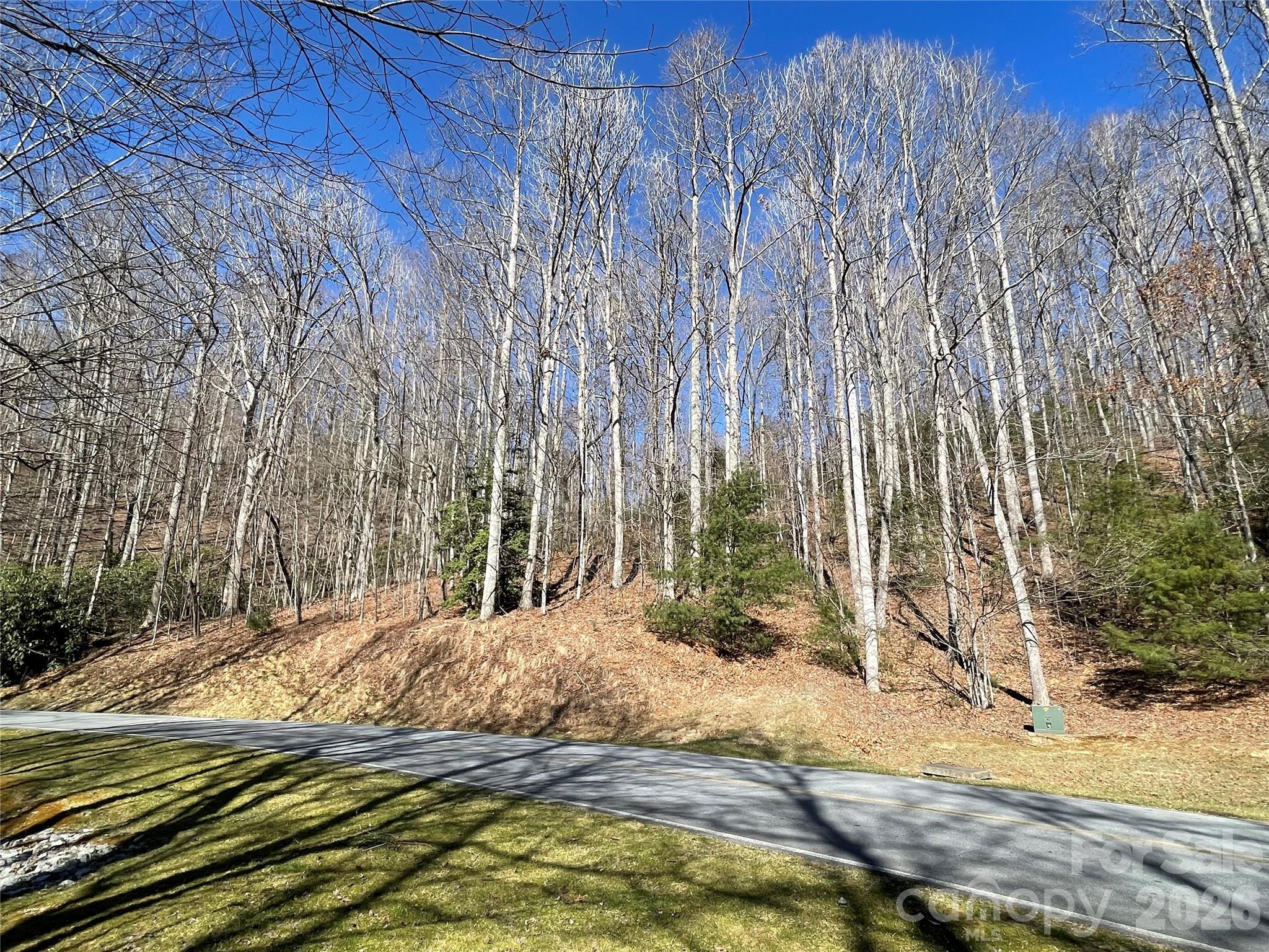 00 Chattooga Run Hendersonville NC 28739