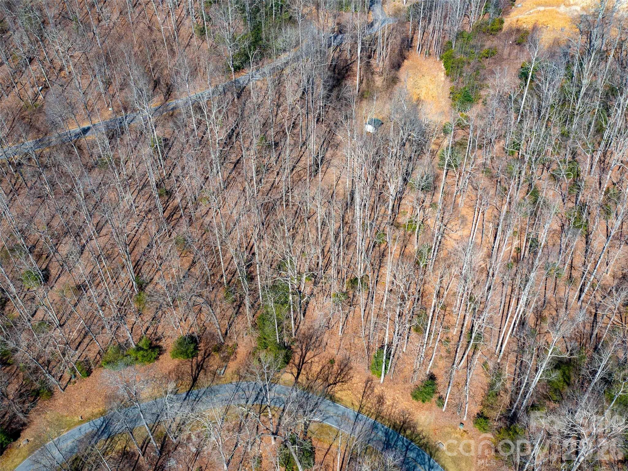 00 Chattooga Run Hendersonville NC 28739