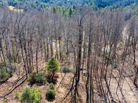 00 Chattooga Run Hendersonville NC 28739