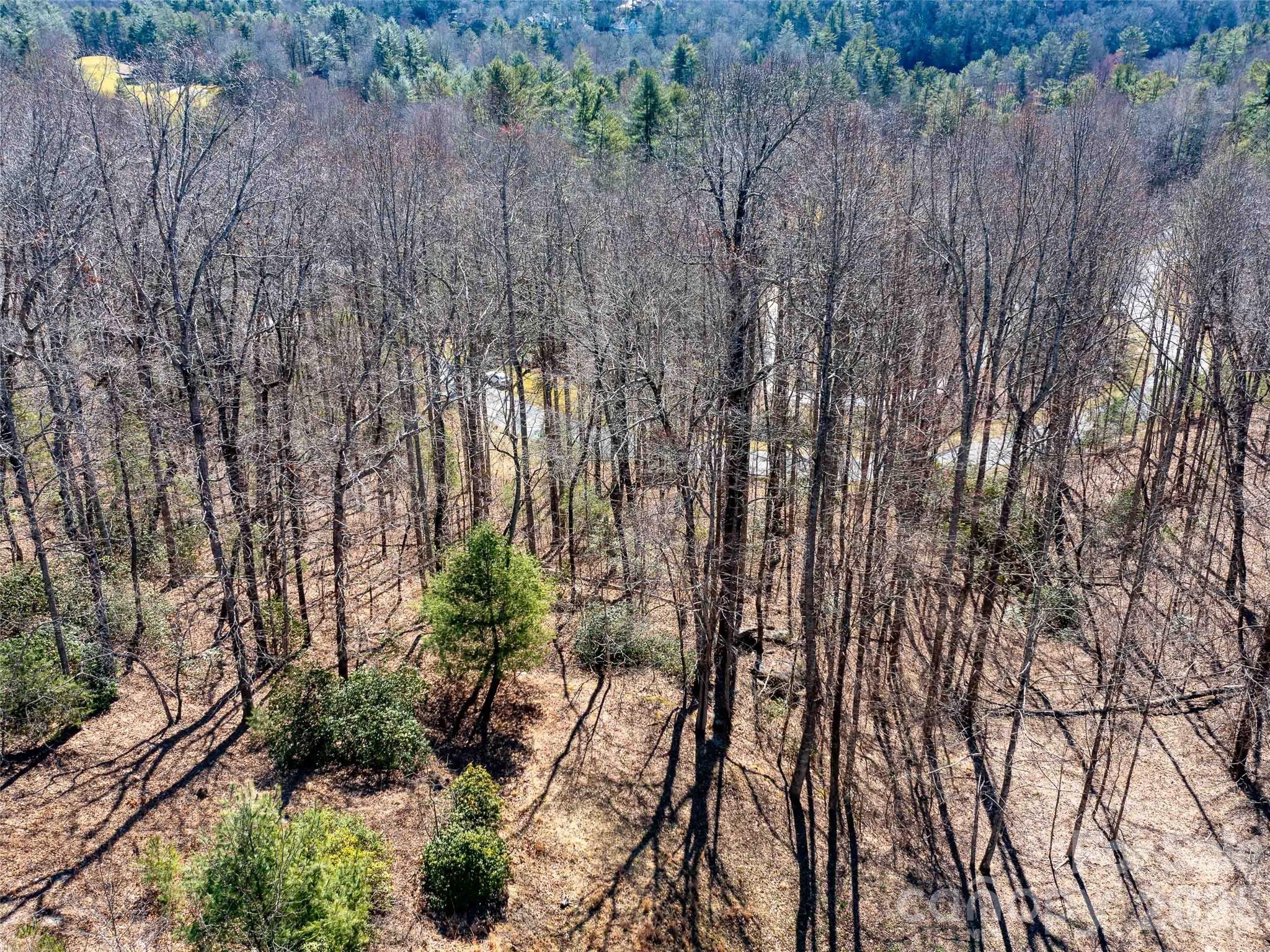 00 Chattooga Run Hendersonville NC 28739