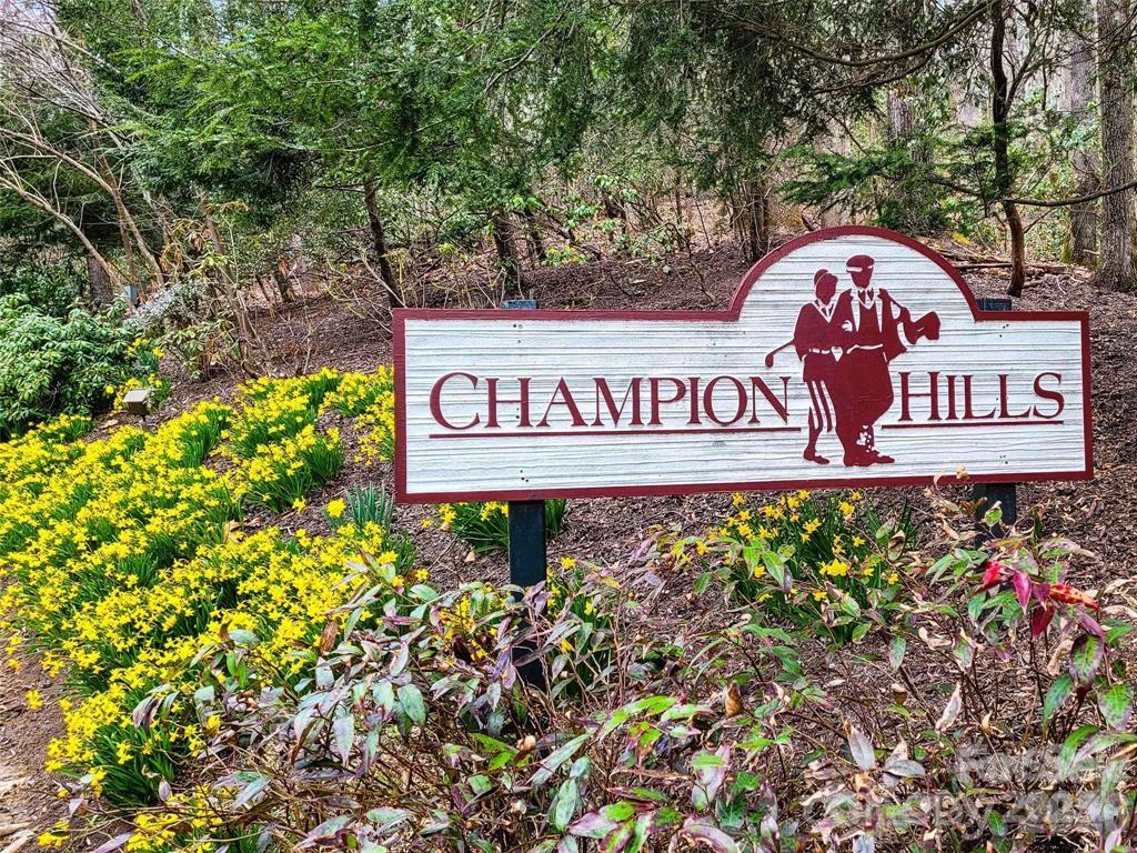 00 Chattooga Run Hendersonville NC 28739