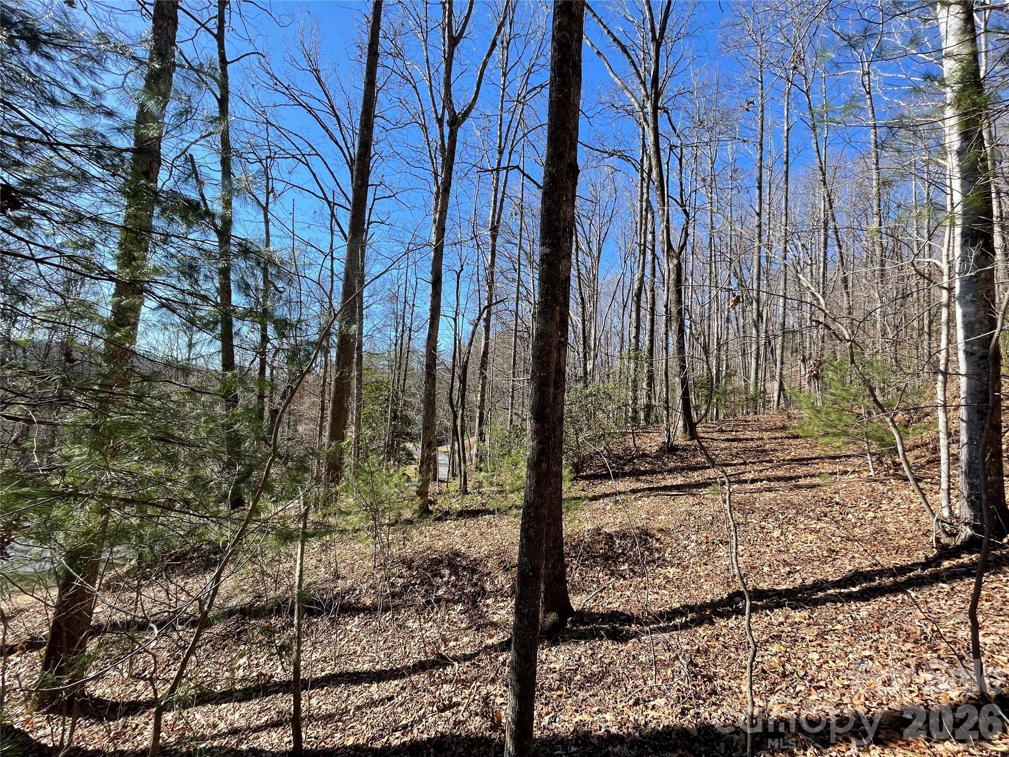 00 Chattooga Run Hendersonville NC 28739