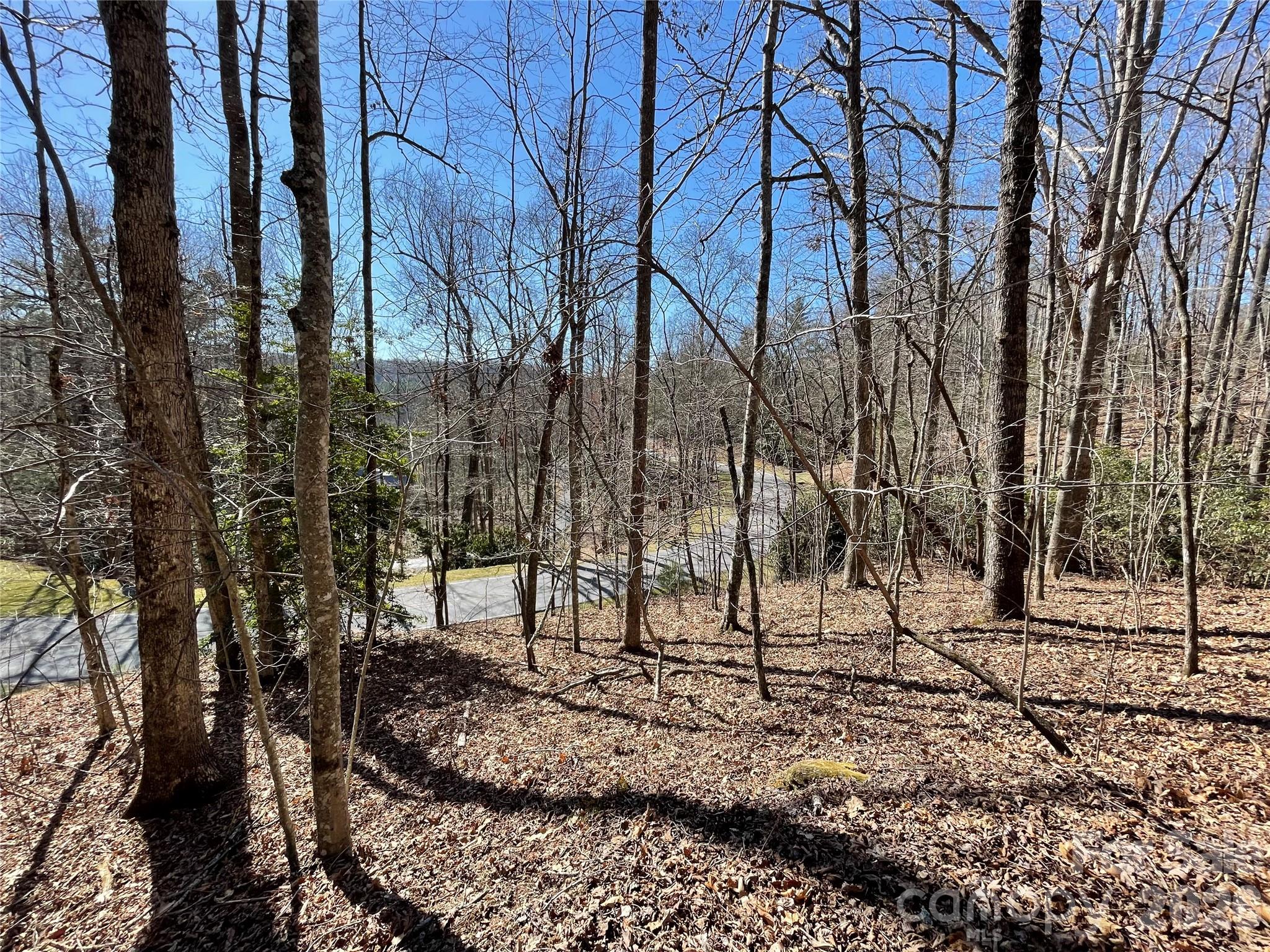 00 Chattooga Run Hendersonville NC 28739