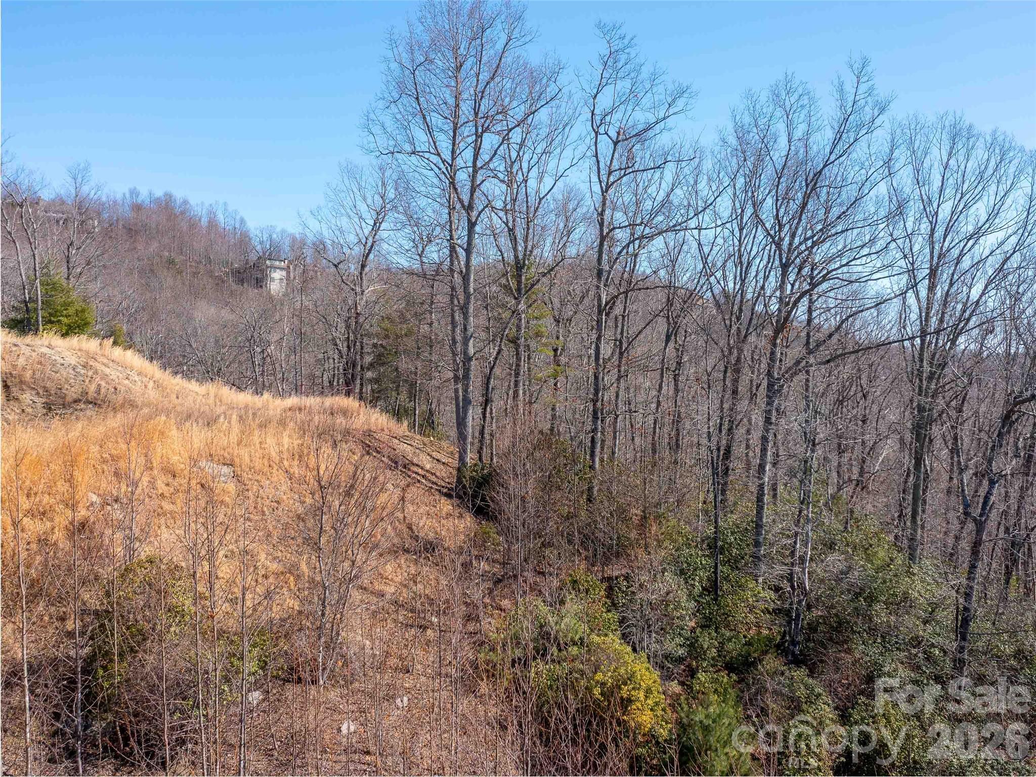 00 Chattooga Run Hendersonville NC 28739