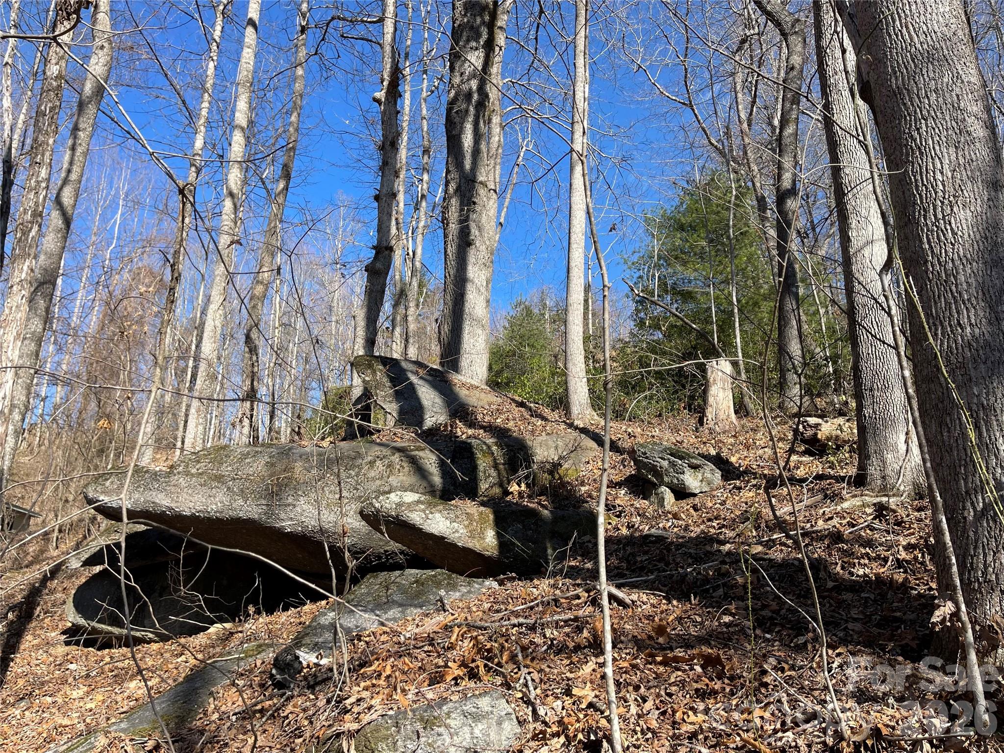 00 Chattooga Run Hendersonville NC 28739