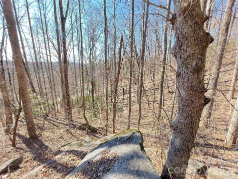 00 Chattooga Run Hendersonville NC 28739