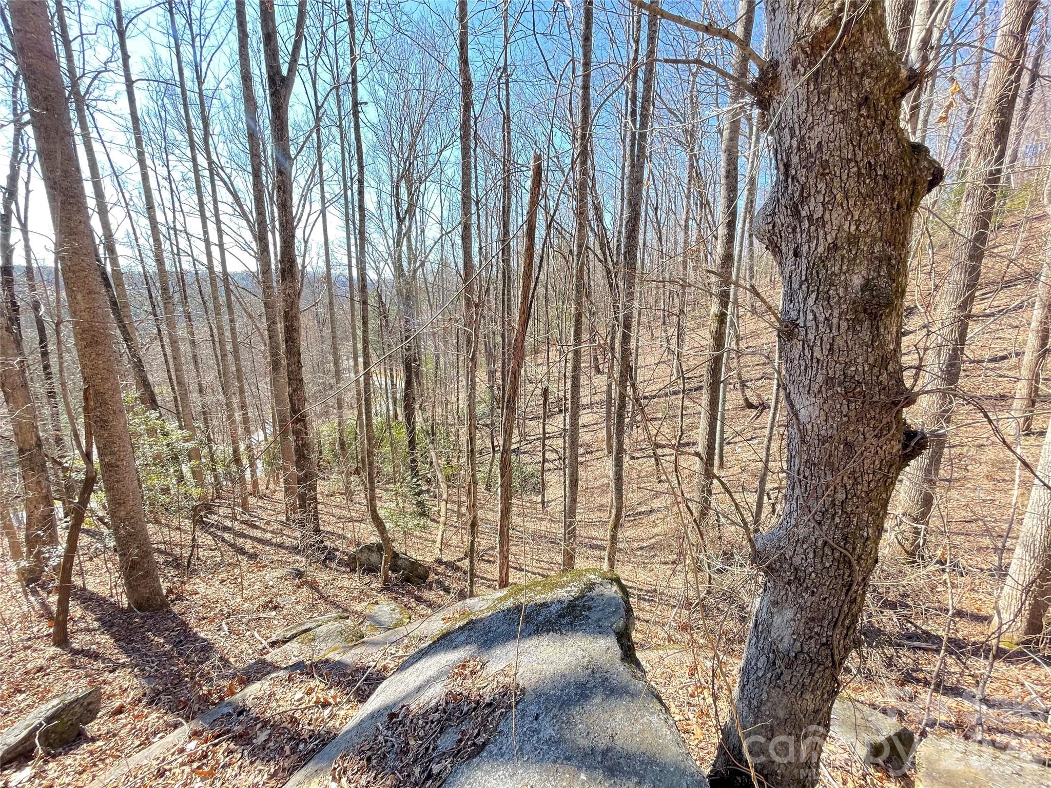 00 Chattooga Run Hendersonville NC 28739