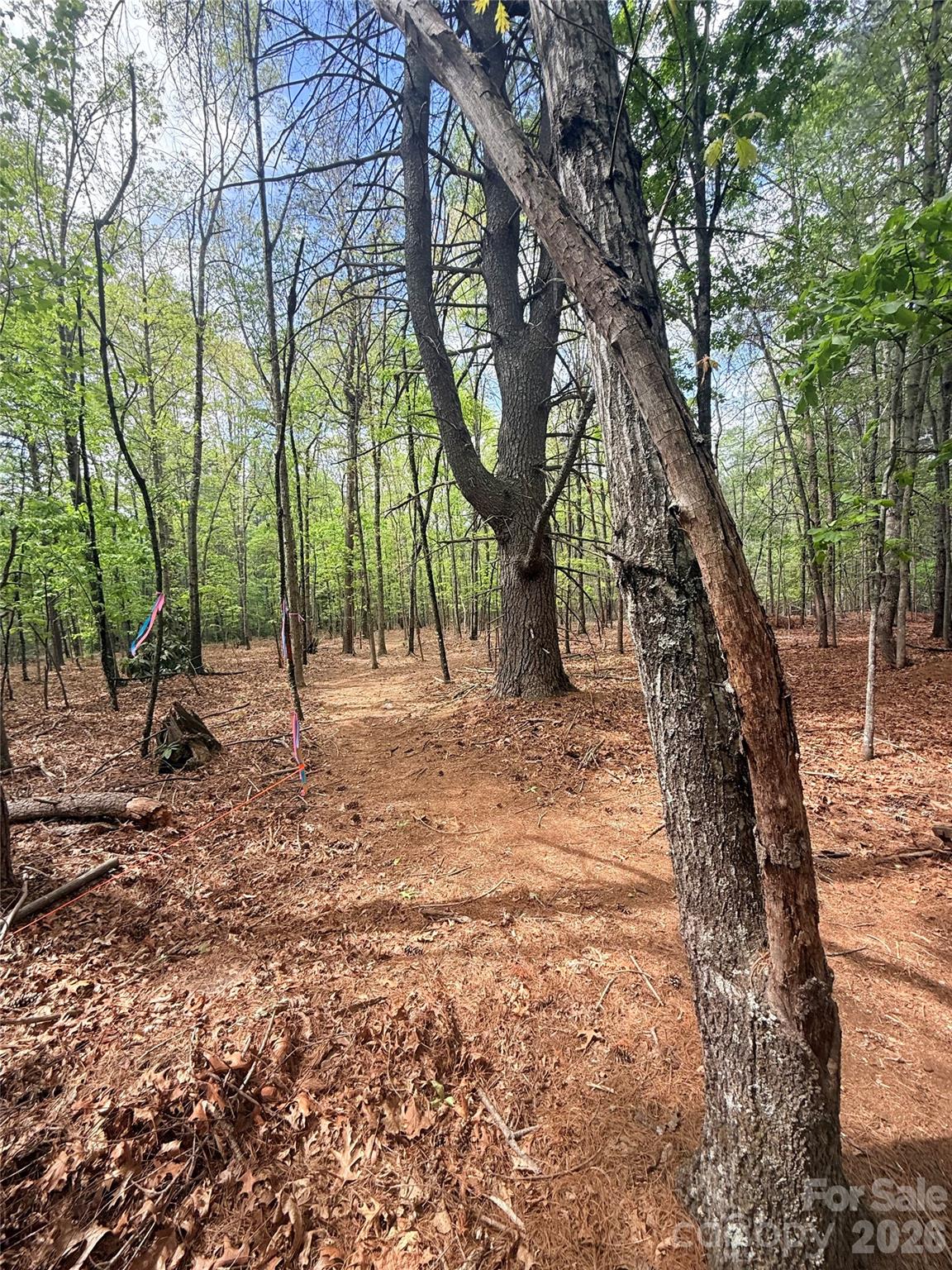 Tbd Meadowood Street Hudson NC 28636