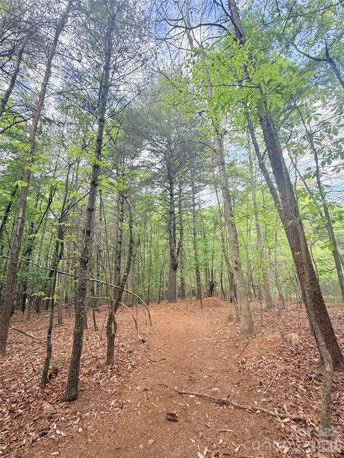 Tbd Meadowood Street Hudson NC 28636