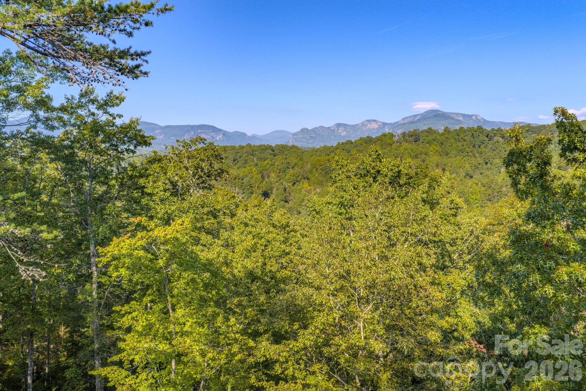 0 Willow Top Lane Lake Lure NC 28746