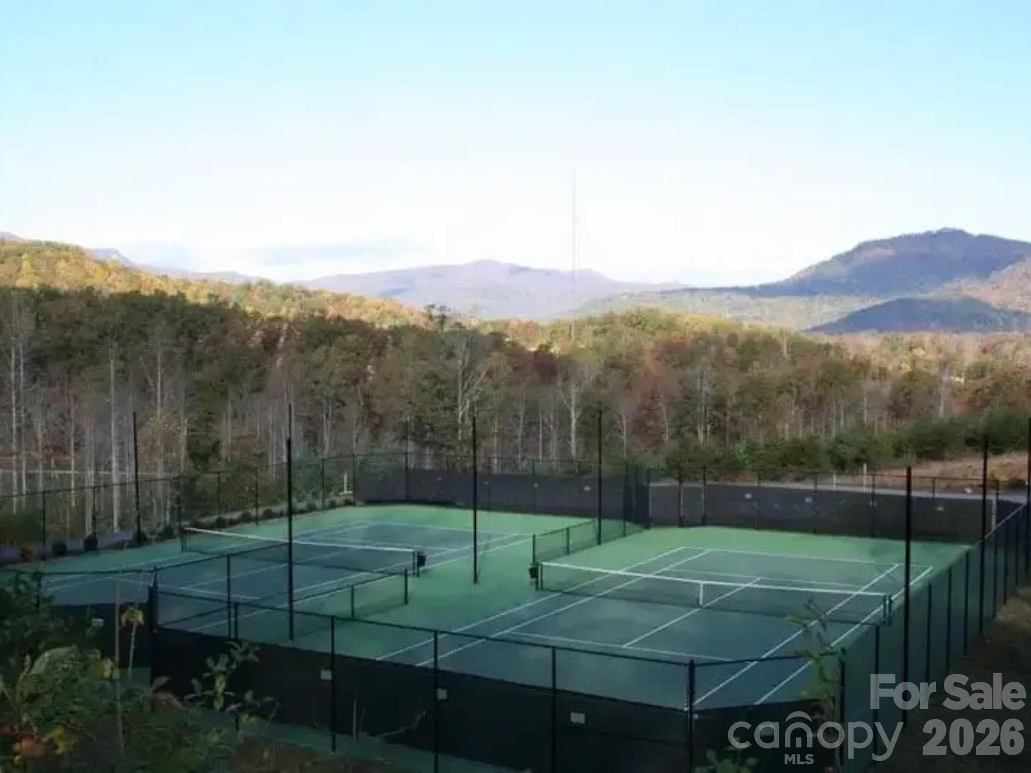 0 Willow Top Lane Lake Lure NC 28746