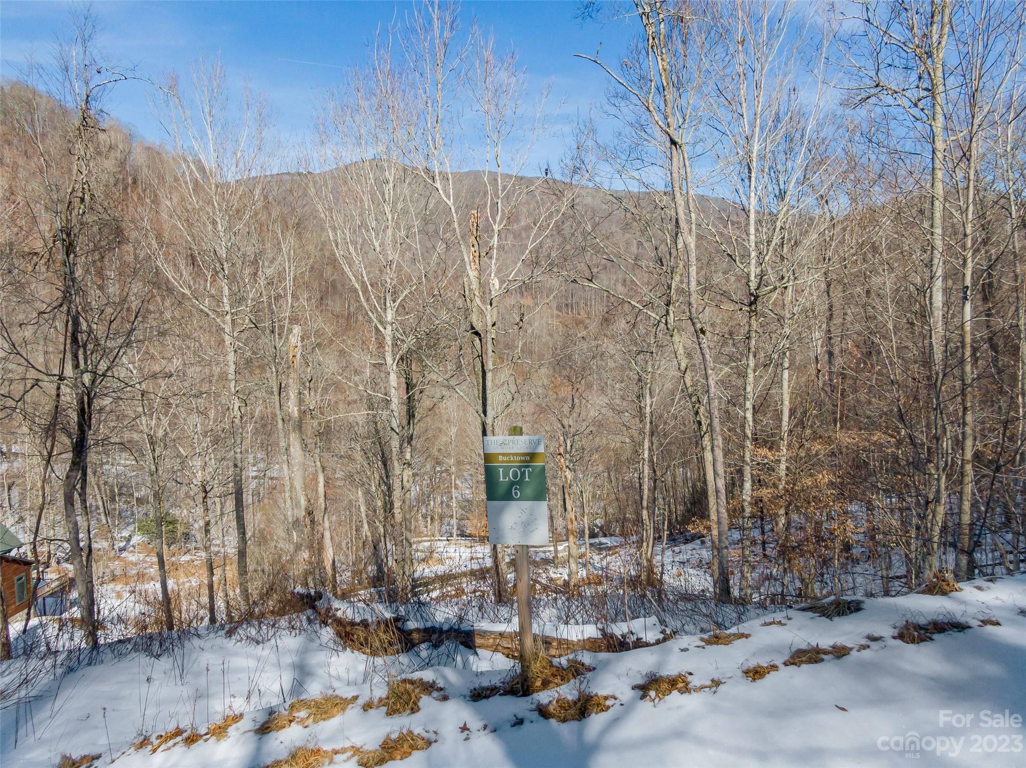 Lot 6 Settlement Way Mars Hill NC 28754