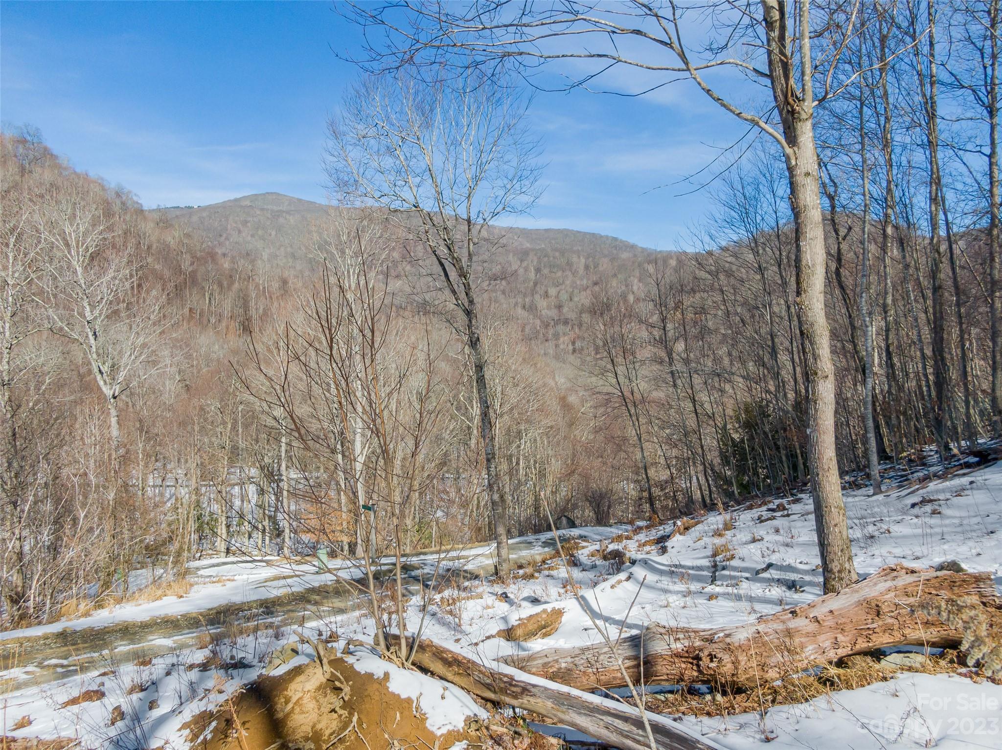 Lot 6 Settlement Way Mars Hill NC 28754