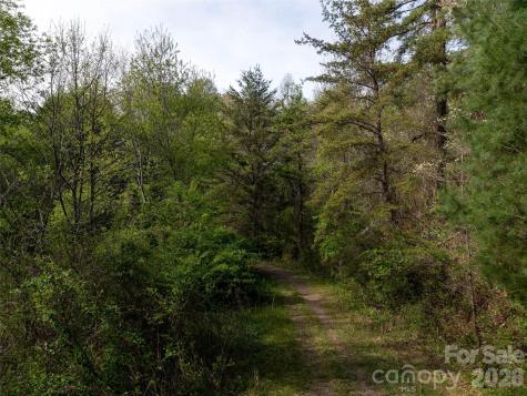 Lot 43 Sunnybrook Trail Clyde NC 28721