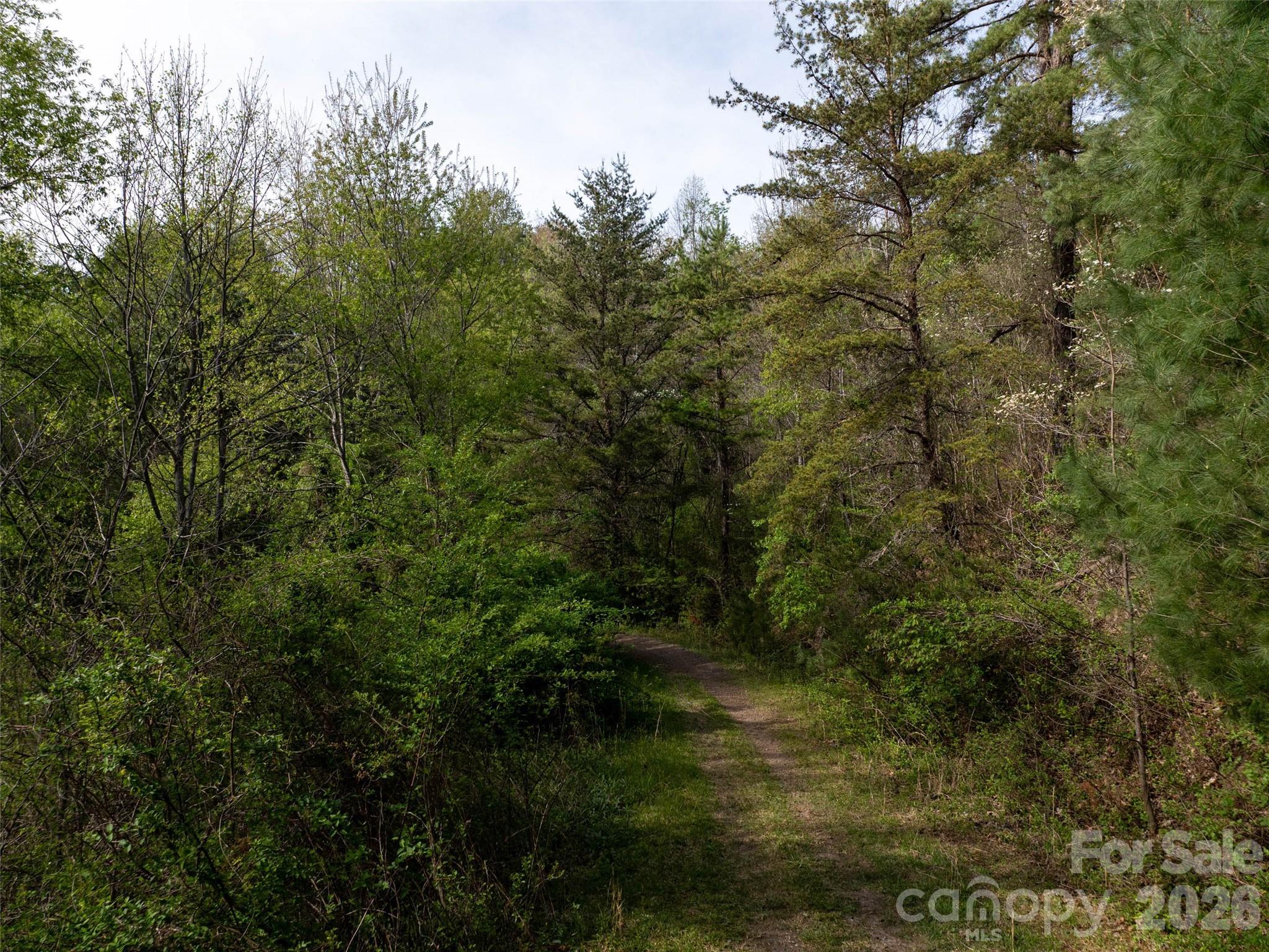 Lot 43 Sunnybrook Trail Clyde NC 28721