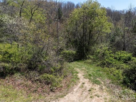 Lot 43 Sunnybrook Trail Clyde NC 28721