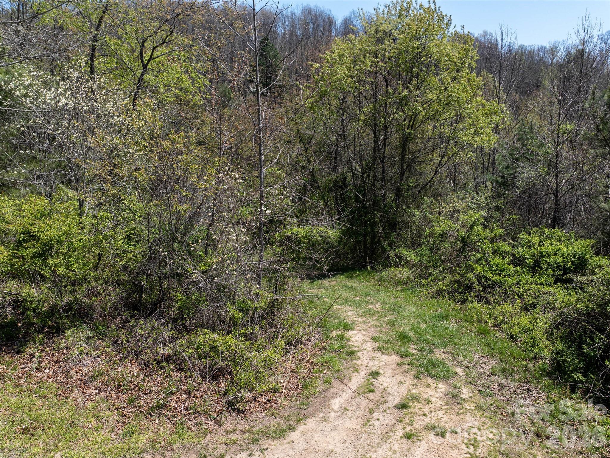 Lot 43 Sunnybrook Trail Clyde NC 28721