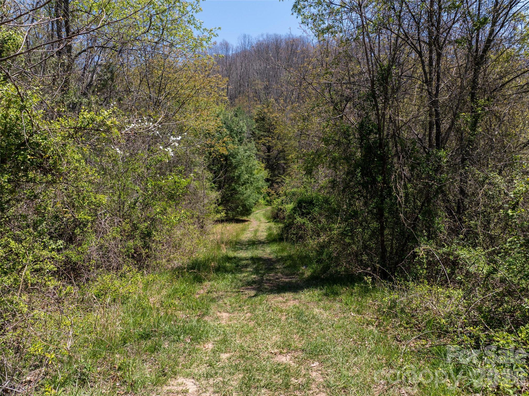 Lot 43 Sunnybrook Trail Clyde NC 28721