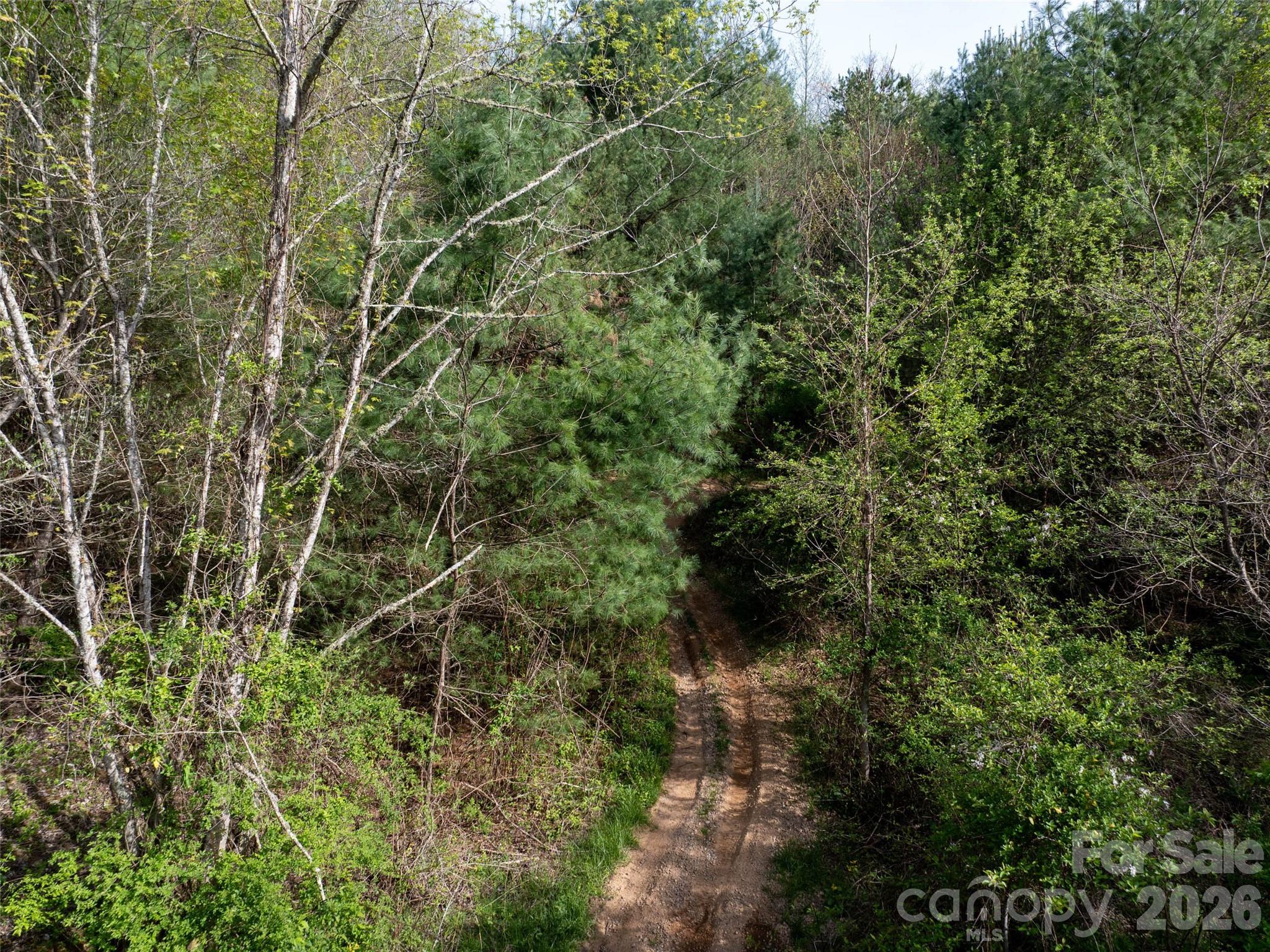 Lot 43 Sunnybrook Trail Clyde NC 28721
