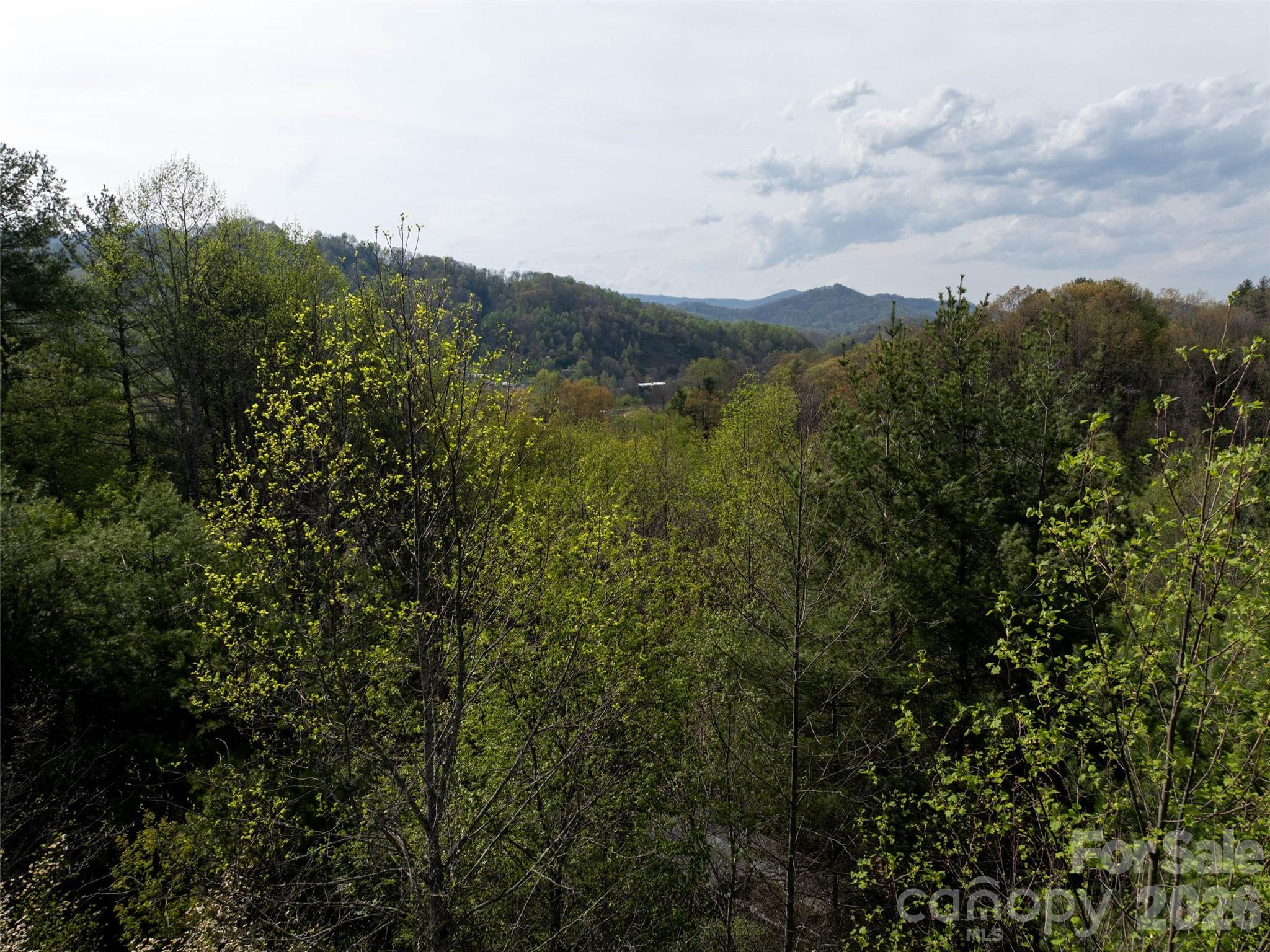 Lot 43 Sunnybrook Trail Clyde NC 28721