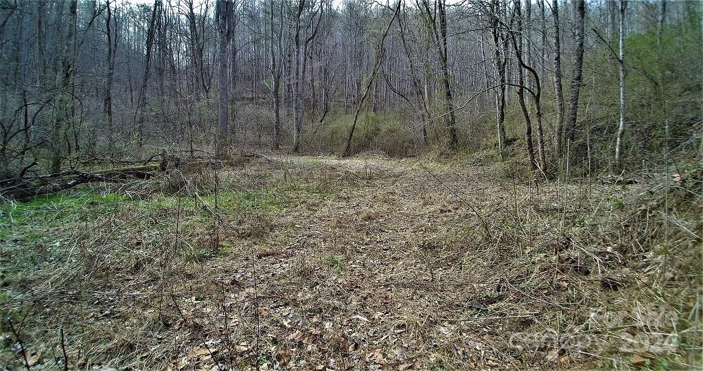Tbd Tee Pee Drive Whittier NC 28789