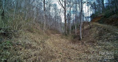 Tbd Tee Pee Drive Whittier NC 28789