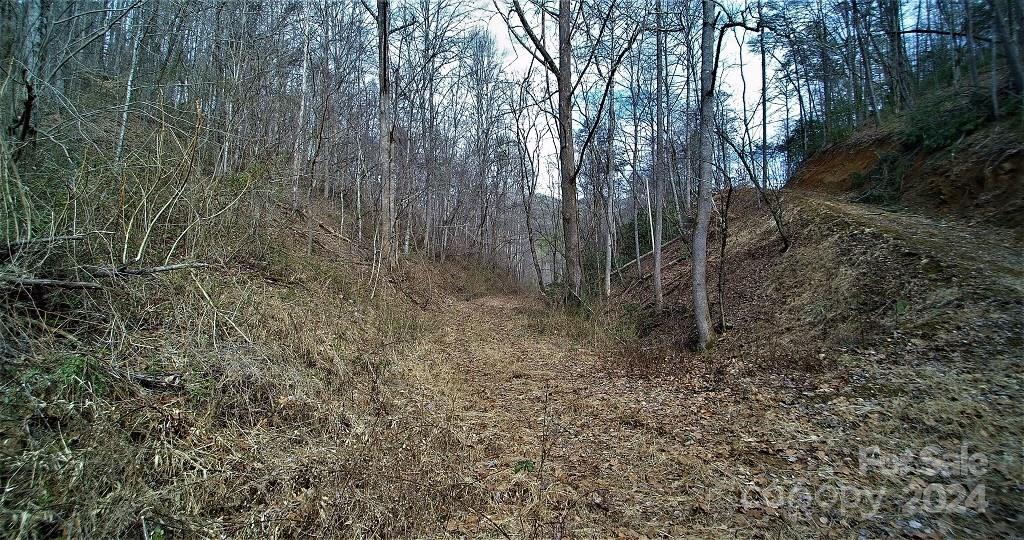Tbd Tee Pee Drive Whittier NC 28789