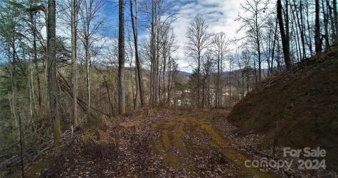 Tbd Tee Pee Drive Whittier NC 28789