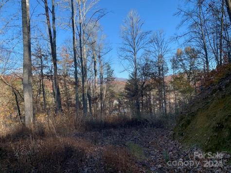 Tbd Tee Pee Drive Whittier NC 28789