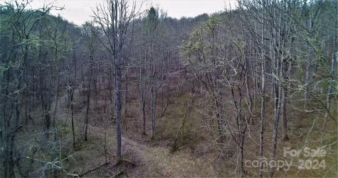 Tbd Tee Pee Drive Whittier NC 28789