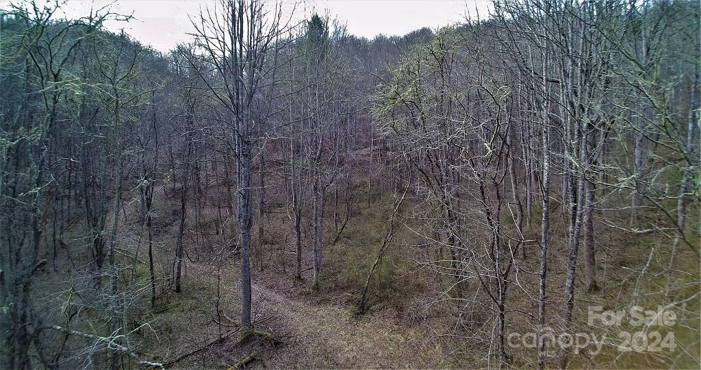 Tbd Tee Pee Drive Whittier NC 28789