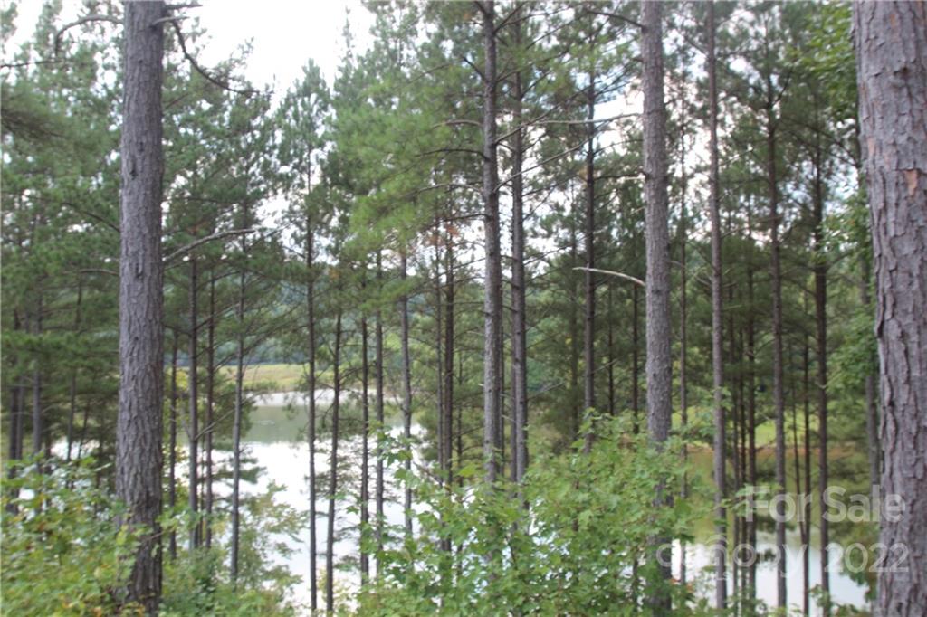 2038 & 2048 Inlet Shore Road NE Connelly Springs NC 28612