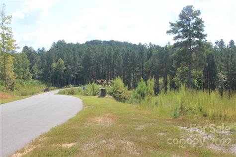 2038 & 2048 Inlet Shore Road NE Connelly Springs NC 28612