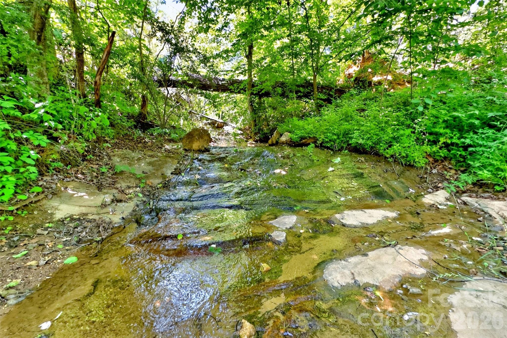272 Randolph Drive Marion NC 28752