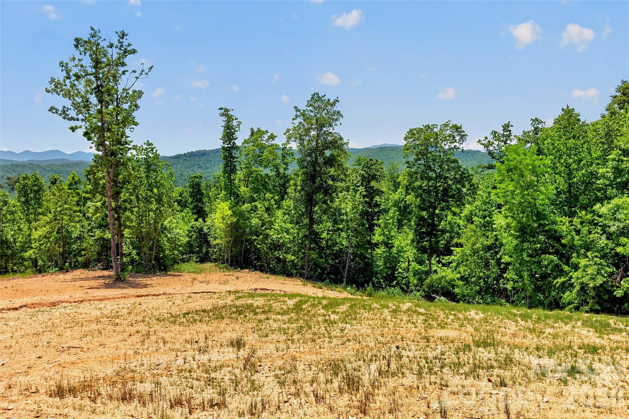 272 Randolph Drive Marion NC 28752