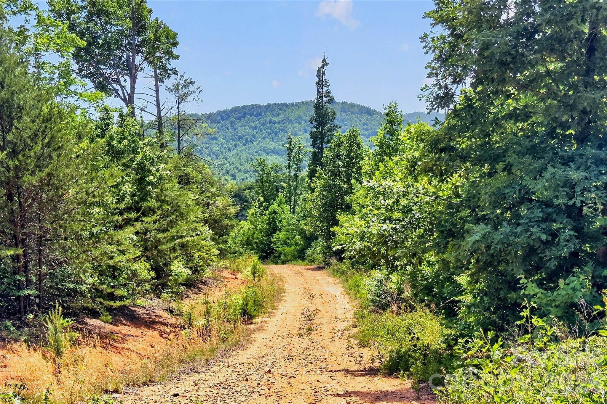 272 Randolph Drive Marion NC 28752