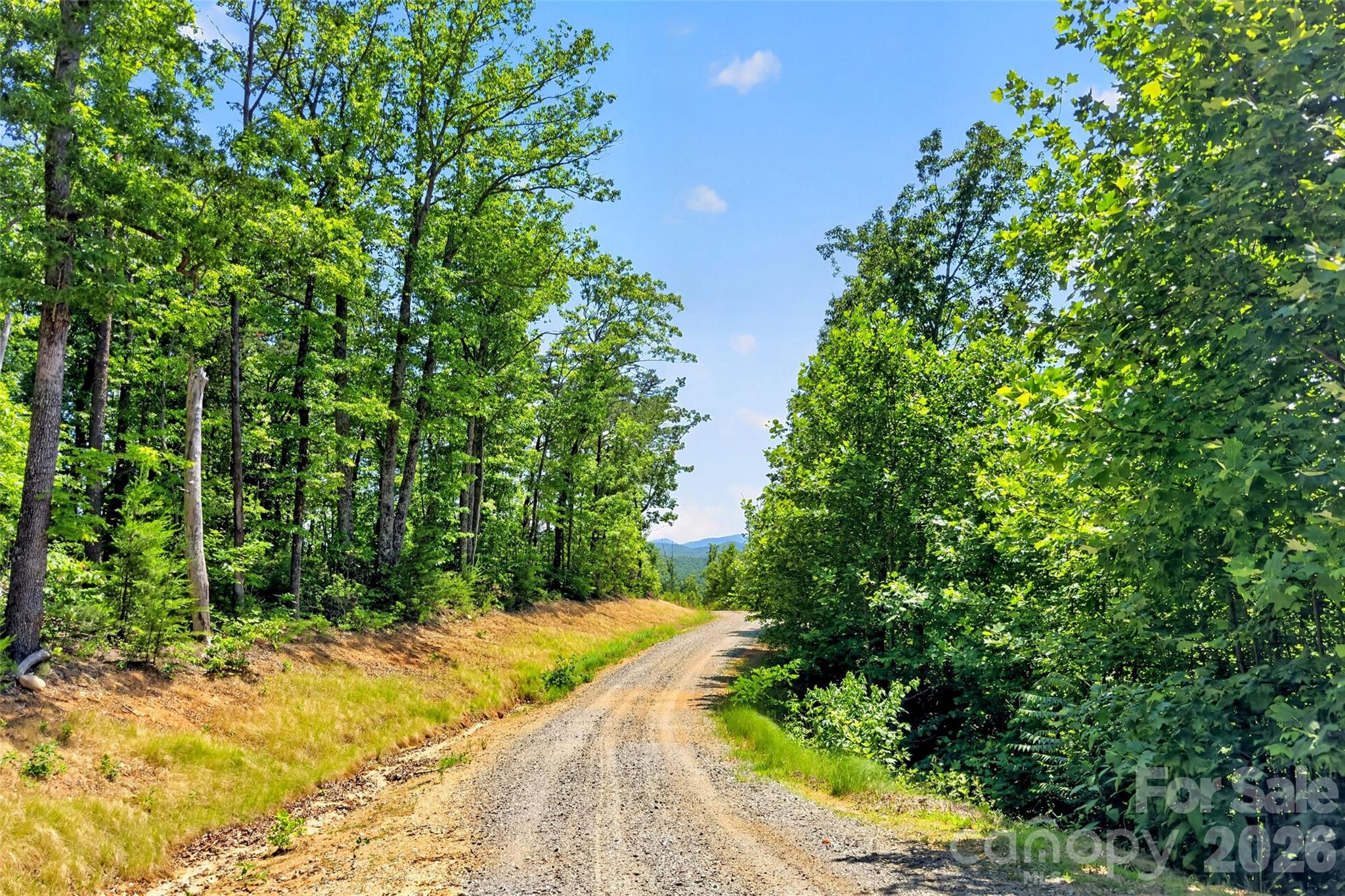 272 Randolph Drive Marion NC 28752