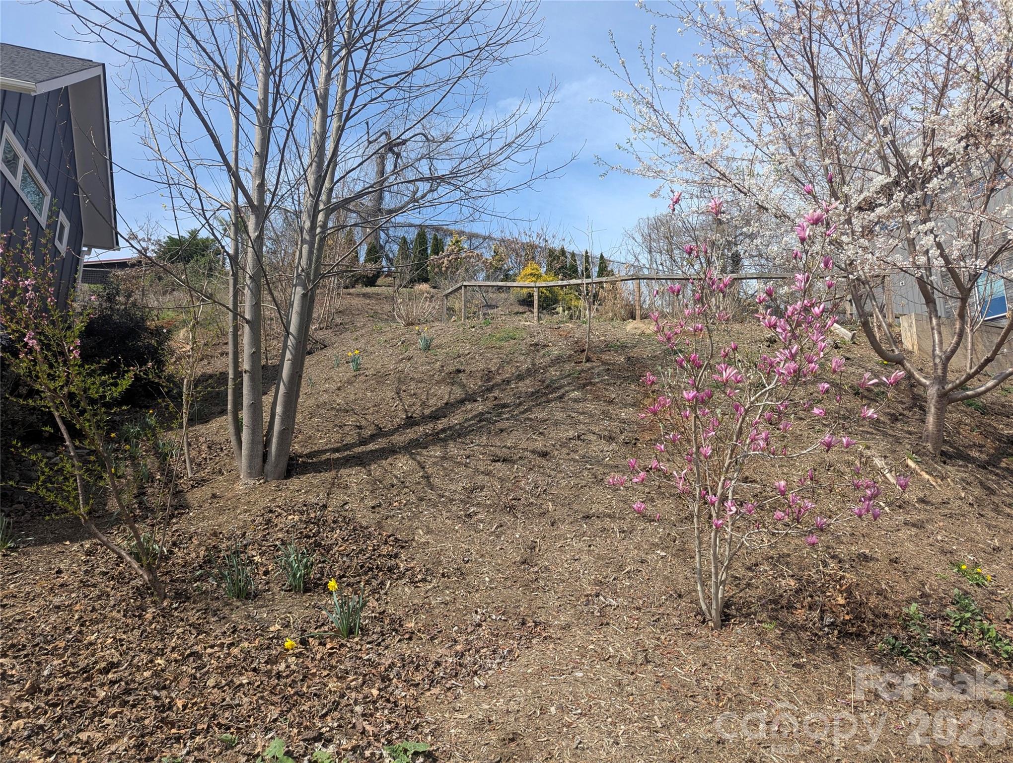 39 Jefferson Drive Asheville NC 28801