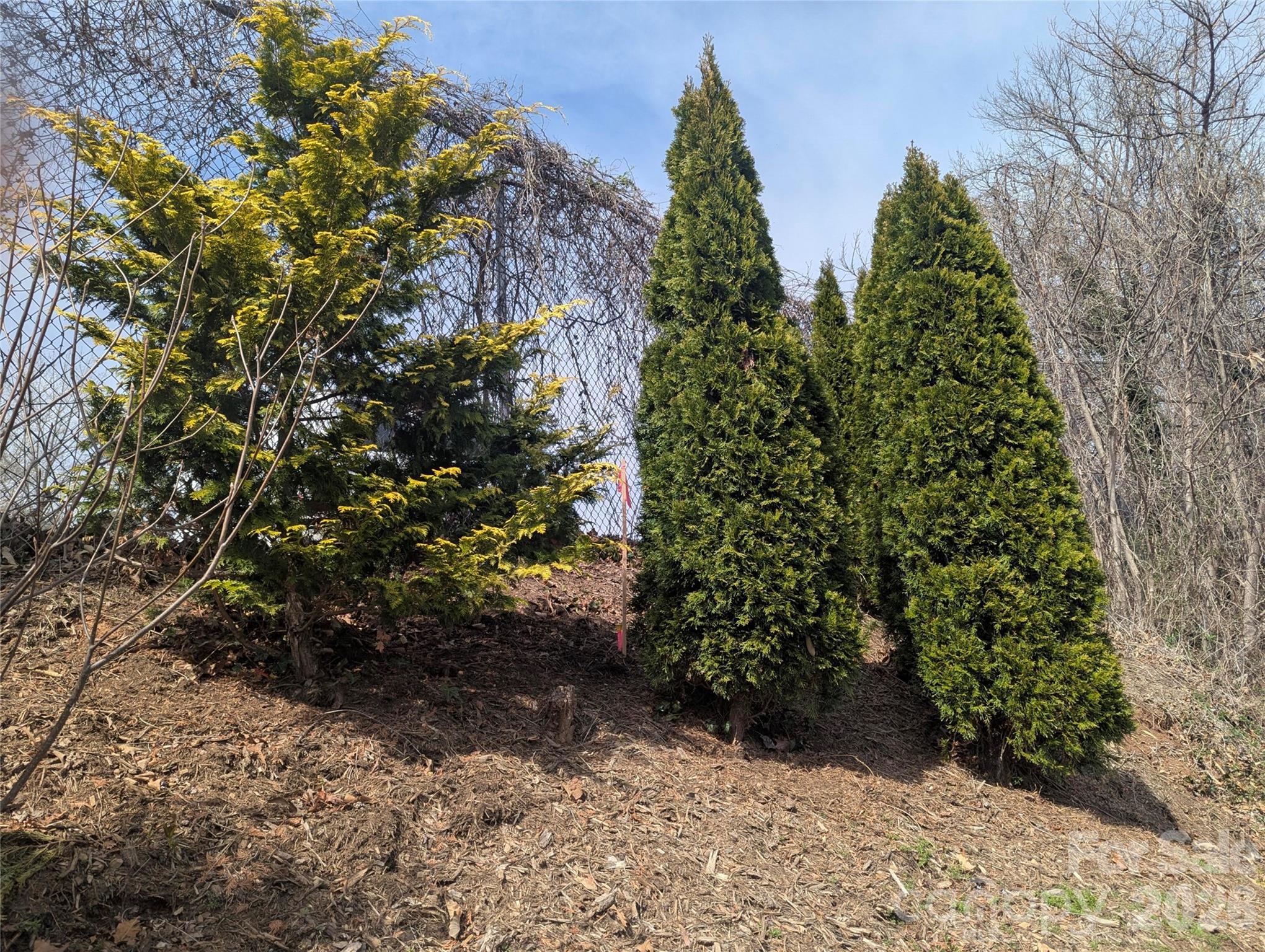 39 Jefferson Drive Asheville NC 28801