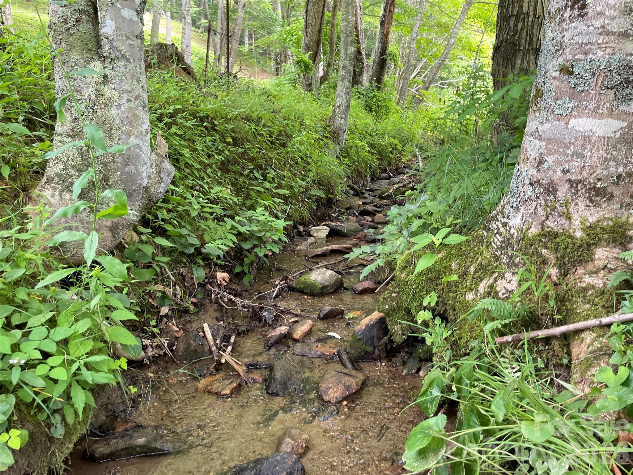 Tbd Sugar Camp Road Marshall NC 28753