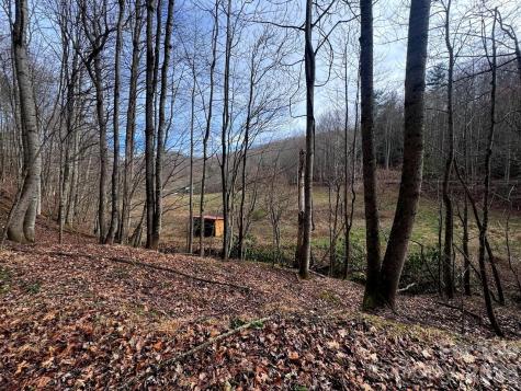 Tbd Sugar Camp Road Marshall NC 28753